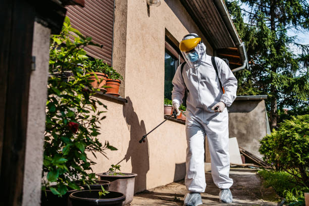 Professional Pest Control in Ellenville, NY