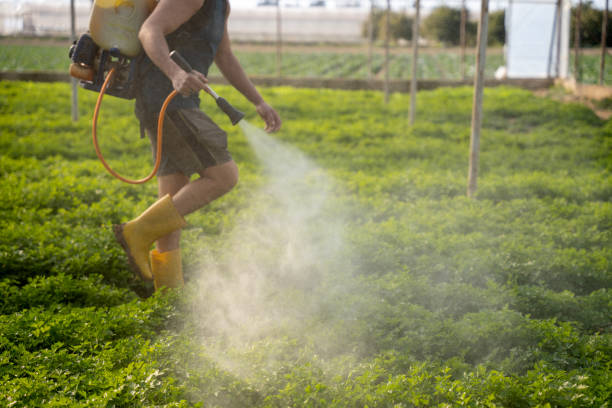 Professional Pest Control in Ellenville, NY