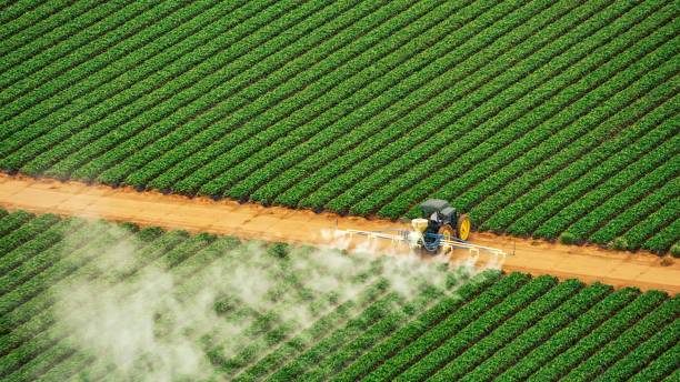Pest Prevention Services in Ellenville, NY