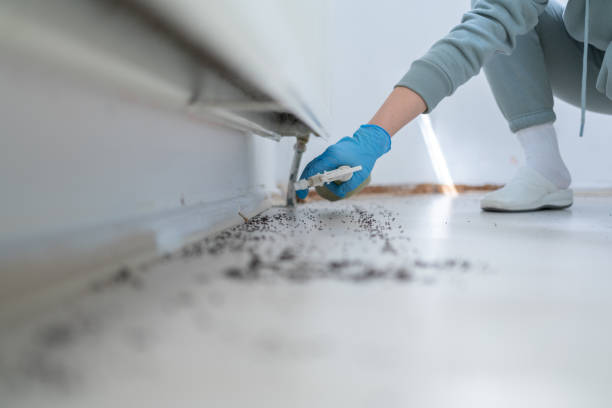 Best Best Pest Control Companies  in Ellenville, NY